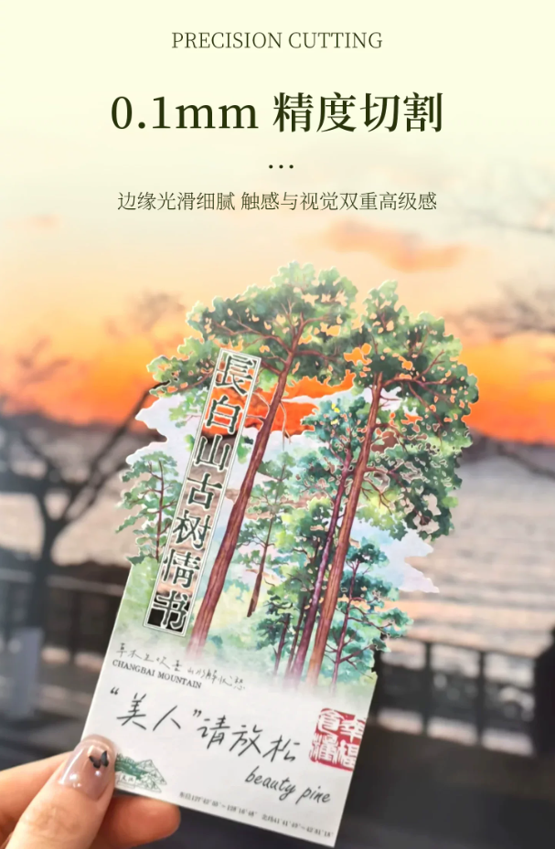 fe96b118-6f3a-4c95-aae7-ddfec32c3f61.png